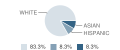 Beautiful Savior Academy Student Race Distribution