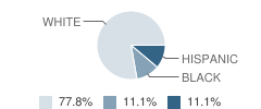 First Lutheran Childrens Center School Student Race Distribution