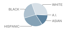 Keystone Riverside School Student Race Distribution