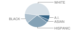 Pinecrest School Lancaster Student Race Distribution