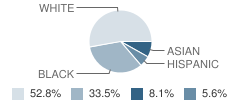 Spectrum Center School Student Race Distribution