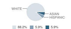 The Growing Place Preschool and Kindergarten School Student Race Distribution