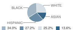 The Renaissance School Student Race Distribution