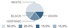 Abc Childcare Center School Student Race Distribution