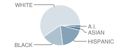 Excelsior Youth Center School Student Race Distribution