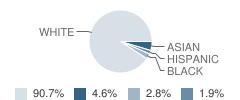 Mackintosh Academy Student Race Distribution