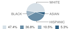 Hopewell Baptist Academy Student Race Distribution