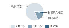 Gengras Center / St Joseph College School Student Race Distribution