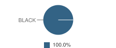 Sunrise Academy Student Race Distribution