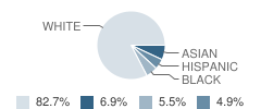 First Coast Academy Atlantic International Institution Student Race Distribution