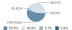 Killian Oaks Academy Student Race Distribution