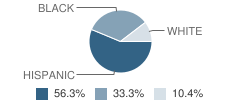 Marian Center School and Services Student Race Distribution