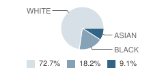 Riviera Day School Student Race Distribution