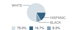 Samaritan House for Boys School Student Race Distribution