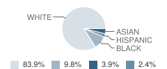 St Petersburg Christian School Student Race Distribution