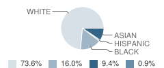 Counterpane School Student Race Distribution