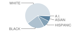 British School of Chicago Student Race Distribution