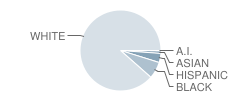 Christ the King Elementary School Student Race Distribution