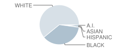 The Governor French Academy Student Race Distribution