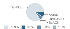 The Common School Student Race Distribution