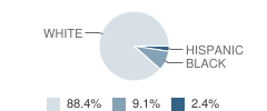 The Odyssey School Student Race Distribution