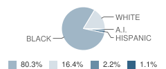 Villa Maria School Student Race Distribution