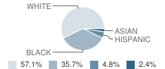 Metropolitan School Student Race Distribution