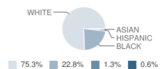 Dept of Special Education School Student Race Distribution