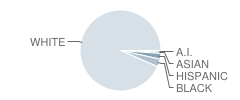 Crotched Mountain School Student Race Distribution