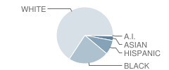 Archbishop Damiano School Student Race Distribution