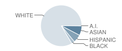 Faith Lutheran High School (Junior / Senior) Student Race Distribution