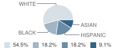 Childrens Choice Kindergarten School Student Race Distribution