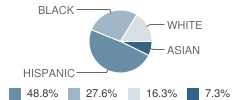 Brooklyn Blue Feather Elementary School Student Race Distribution