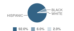 Lrei School Student Race Distribution