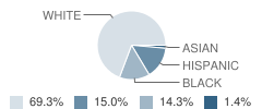 Summit School Student Race Distribution