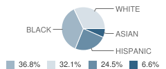 The Center for Developmental Disabilitie School Student Race Distribution