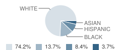 The Center for Discovery School Student Race Distribution