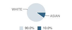 The Washington Market School Student Race Distribution