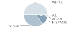 Hermitage Hall School Student Race Distribution