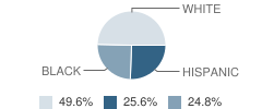 Notre Dame School Student Race Distribution