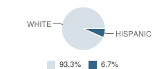 St Luke's Day School Student Race Distribution