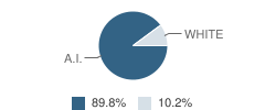 Chaputnguak School Student Race Distribution