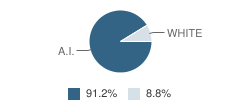 Nelson Island Area School Student Race Distribution