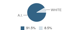 Paul T. Albert Memorial School Student Race Distribution