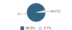 Rocky Mountain School Student Race Distribution