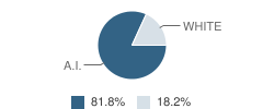 Larsen Bay School Student Race Distribution