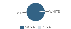 Sheldon Point School Student Race Distribution