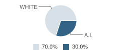 Kasaan School Student Race Distribution