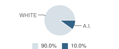 Port Alexander School Student Race Distribution