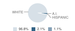 Paint Rock Valley High School Student Race Distribution
